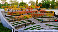 Температура воздуха на Кубани в начале ноября превысит норму на 1–3 градуса