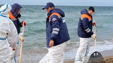 Специалисты очистили более 1,7 тысячи километров побережья Черного моря