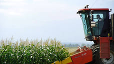 Власти разрешат экспорт риса-сырца, ограниченный после аварии на Федоровском гидроузле