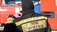 В Ялте ИИ занимается ранним обнаружением лесных пожаров