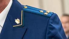 Прокуратура проверяет данные о показе окровавленного манекена детям в Новороссийске