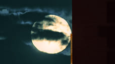 Над Краснодарским краем и Республикой Крым сбили три беспилотника