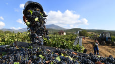 Объем инвестиций в АПК Крыма вырос на 11,4% в первом полугодии 2025 года