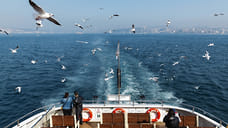 RT: на пароме, который не может войти в порт Сочи, заканчивается еда