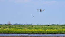 Компании Кубани вдвое увеличили закупки агродронов