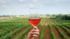 Принят в первом чтении законопроект о строительстве гостиниц в зоне виноградников