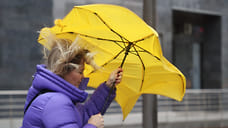 На Кубани ожидается дождь и сильный ветер