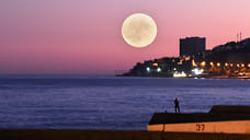 ПВО уничтожила 14 украинских дронов над Крымом и Черным морем