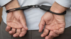 Из Филиппин в Россию доставили обвиняемого в телефонных мошенничествах на Кубани