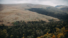 Защитников природы не допустили в дело об отмене экспертизы по курорту в Адыгее