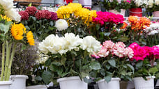 На Кубани букет цветов за год подорожал на 9%