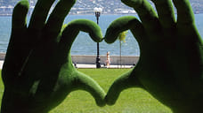 В Новороссийске готовится новый масштабный проект озеленения города