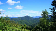 Нацпарк в Сочи планируют расширить за счет 3 тысяч участков