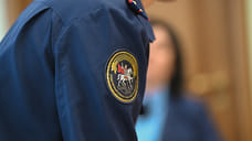 СКР возбудил уголовные дела по факту избиения школьницы в Краснодаре