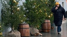 В Краснодаре откроются елочные базары в первой половине декабря