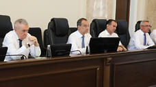 Кубанские депутаты приняли дополнительные меры соцподдержки многодетных семей