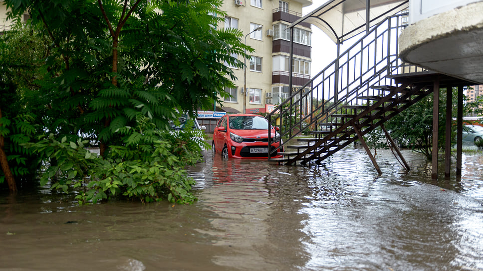 Во дворах новостройки. Август 2021 года