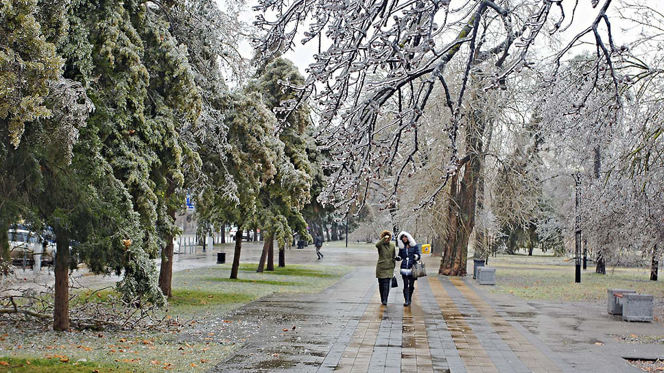 Аллея по улице Постовой после ледяного дождя в Краснодаре. Январь 2014 года