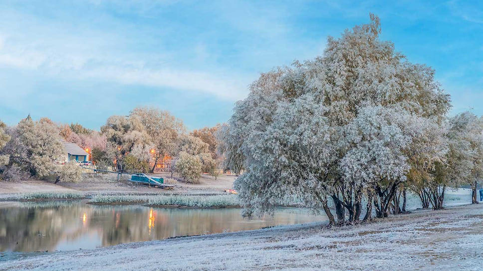 Первый день зимы 2020 года. Раннее утро. Зимний пейзаж с деревьями в инее на берегу обмелевшего Затона реки Кубань
