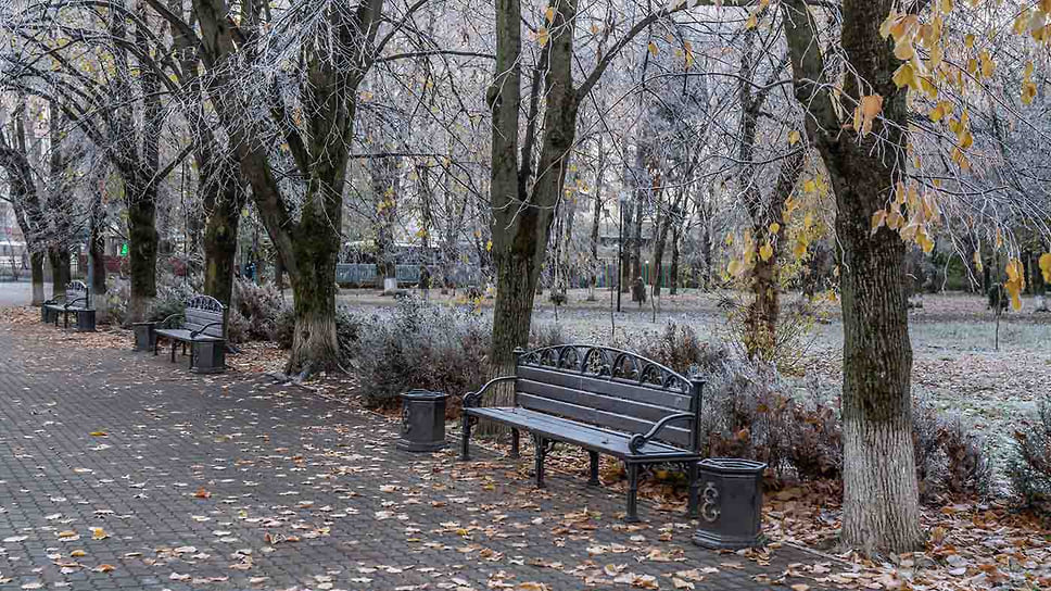 Первый день зимы 2020 года. Иней на опавшей листве и ветках деревьев в сквере у Дворца спорта Олимп