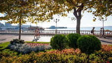 Вдаль от линии прибоя