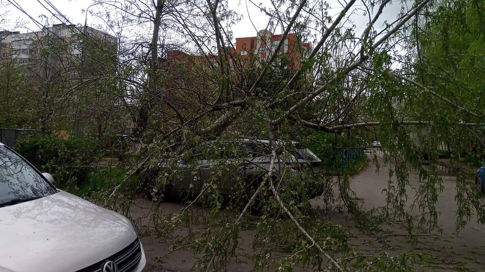 Дерево упало на автомобиль в одном из городских дворов
