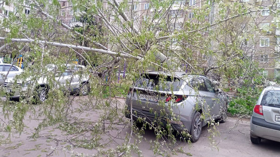 Из-за падения дерева машина получила серьезные повреждения
