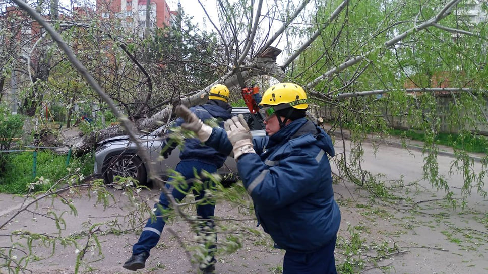 Спасатели убирают упавшие деревья и ветки на улицах города
