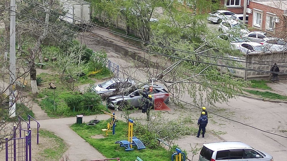 Судя по фотографиям, пострадать на этом участке могли несколько
