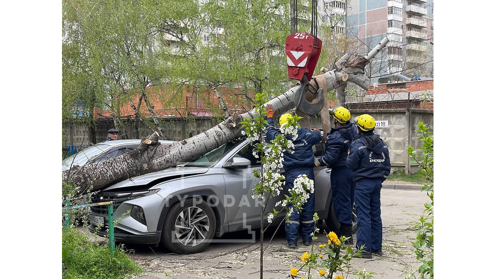 Спасатели пытаются убрать упавшее дерево с машины на ул. Думенко 