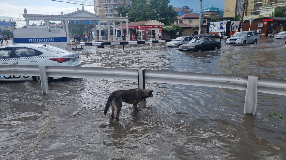 Системы водоотведения в поселке Витязево позволили избежать большего затопления
