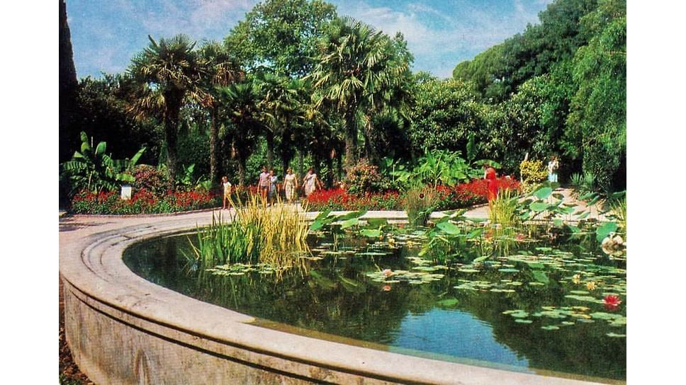 Таким был Никитский ботанический сад в 1980 году
