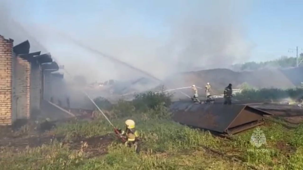 В поселке Кубанском Новопокровского района 6 августа около 15:00 произошел пожар в складском здании элеватора. Огонь на складе с шелухой от семечек локализовали на площади 2,5 тыс. кв. м. Полностью ликвидировать горение спасателям удалось лишь к 8:00 утра 7 августа
