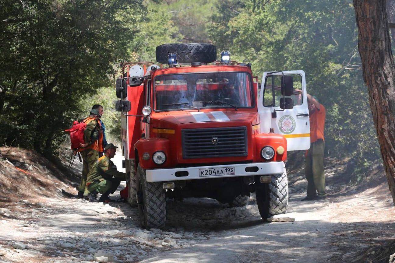 В ликвидации возгорания были задействованы 100 человек: пожарные и добровольцы
