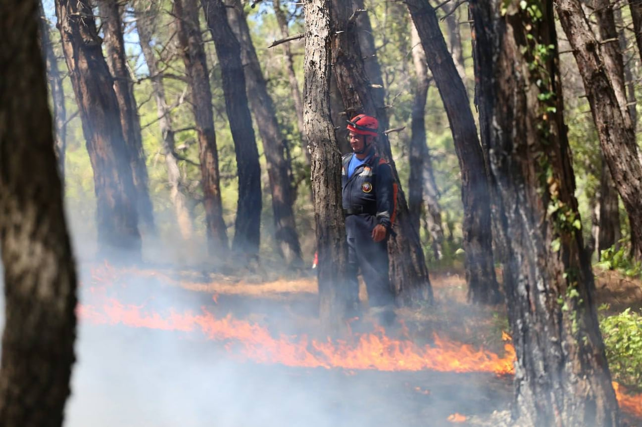 Площадь природного пожара в Геленджике составила 2,7 га
