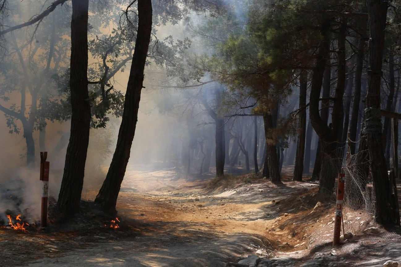 На Черноморском побережье Кубани действует экстренное предупреждение по чрезвычайной пожарной опасности из-за засухи и 37-градусной жары
