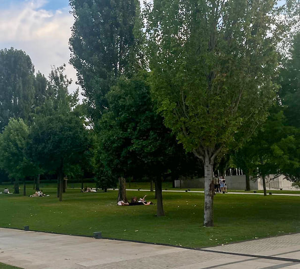 Зеленая поляна для отдыха