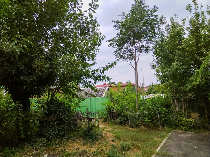 Кладбище окружено многоэтажными и частными домами, а со стороны Ставропольской — коммерческой застройкой
