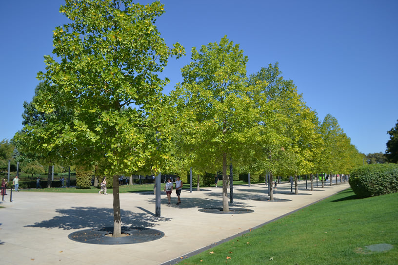 «Озеро с ротондой» и «Кроличья нора» расположены в Парке облаков, дорога к которому проходит мимо Японского сада