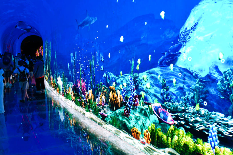 На экране можно увидеть рыбок и русалку, а над головой проплывает кит