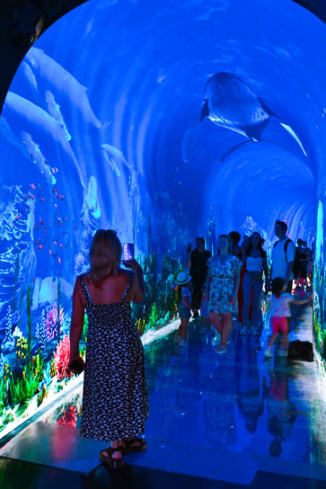 Тоннель с подводным миром