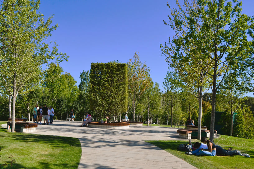 На холме обустроили зоны отдыха