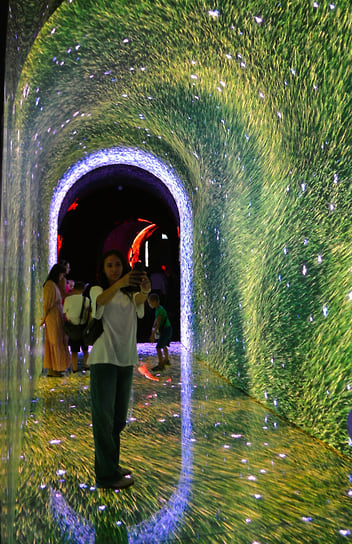 Тоннель-поляна