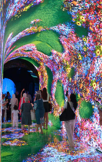 На экранах меняются изображения травы, цветов и ягод