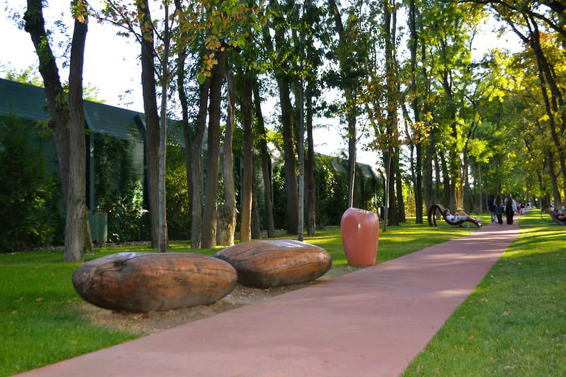 Дубовая аллея — прогулочная зона, открытая в парке «Краснодар» летом 2024 года