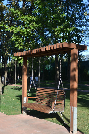 На аллее растут полувековые дубы