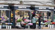 Вышли в цвет