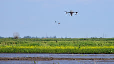 В мирном пролете