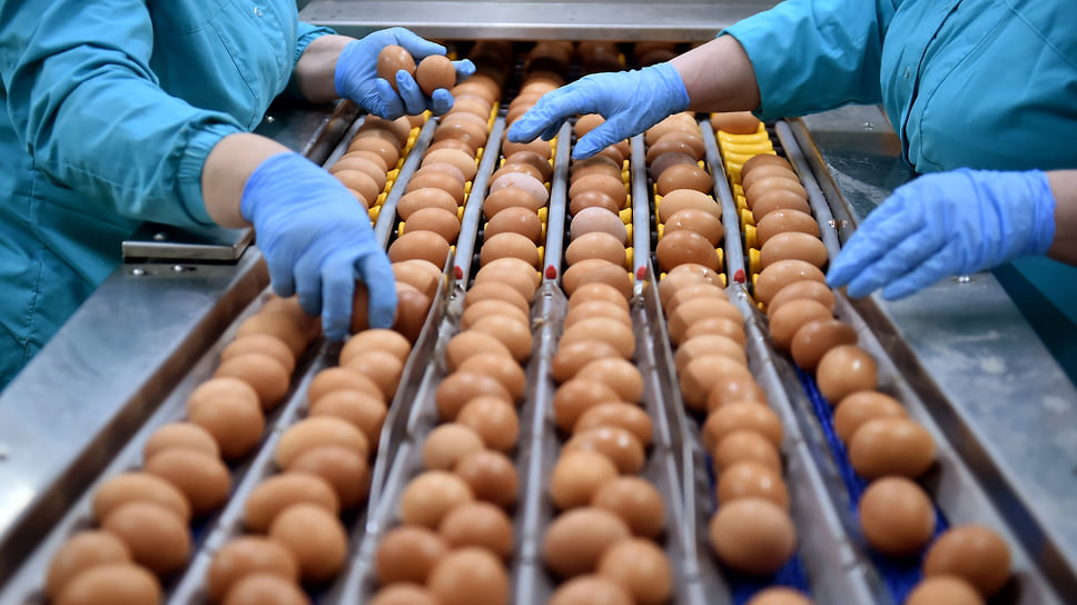 Производство яиц в Краснодарском крае год к году сократилось на 4,3% — до 1,3 млрд рублей