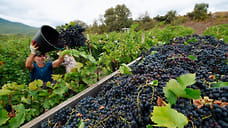 Истина в сырье